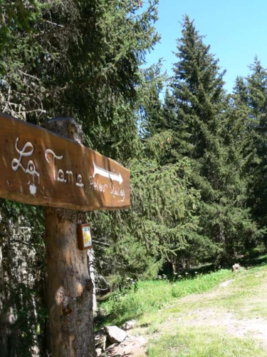 Large photo of La Tania